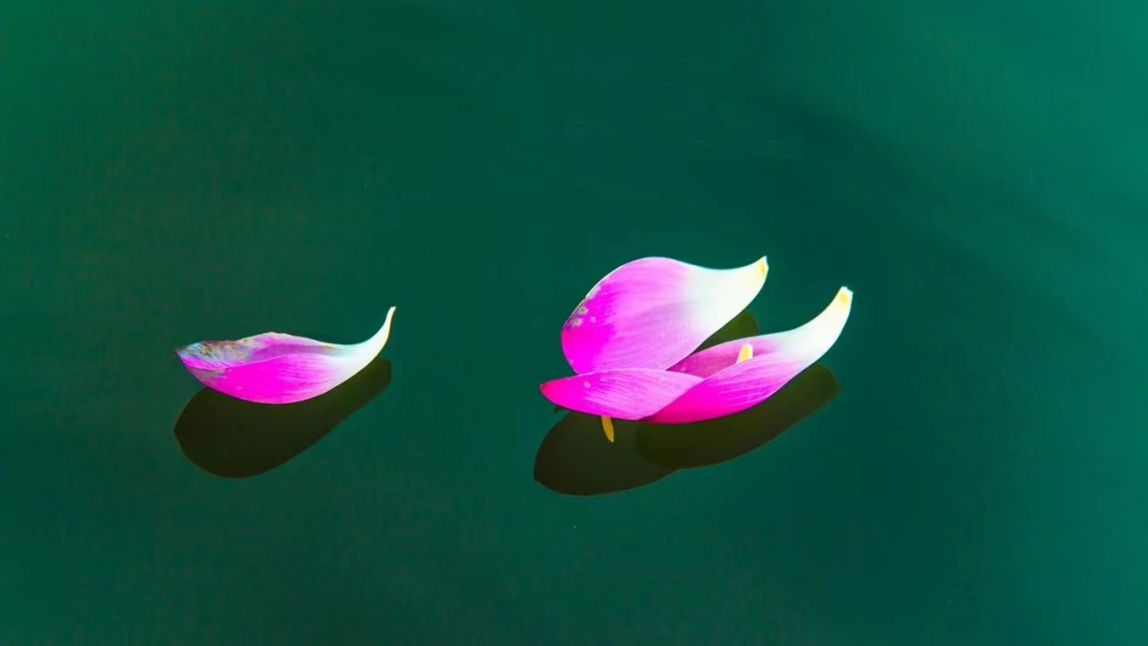 专心做每件小事,心无旁骛;为人处事做到无执,心无挂碍.