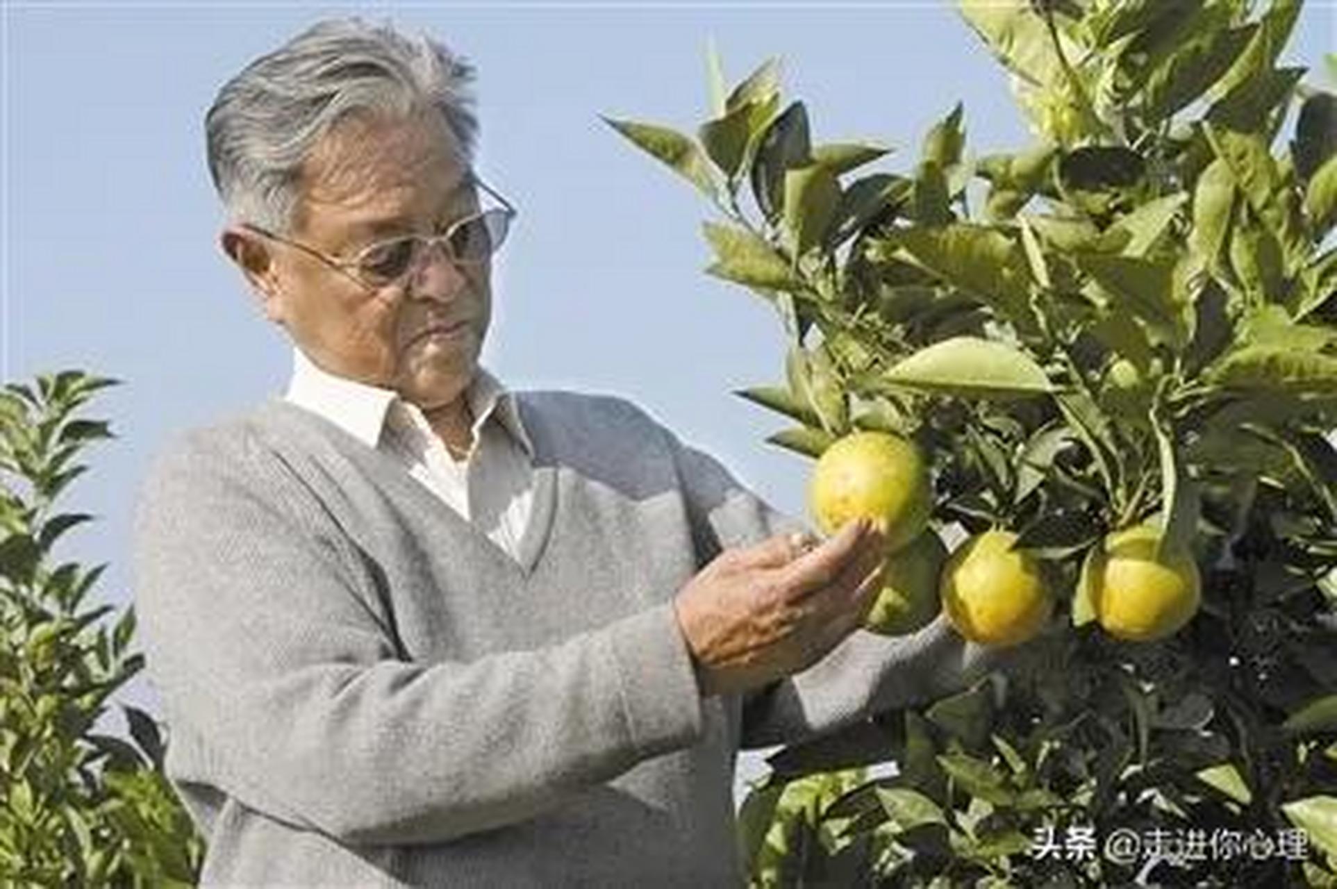 褚时健曾是红塔集团董事长,执掌红塔集团的18年纳税990亿,但权利冲昏