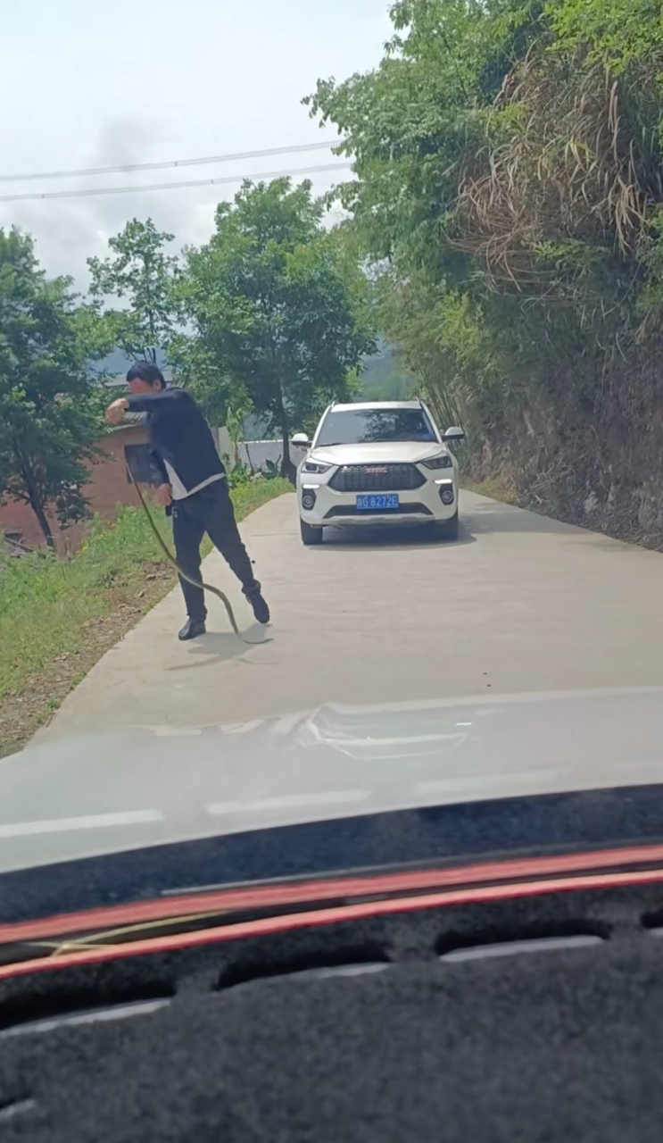 路上遇到这种情况不敢走了,还好对面来的这位大哥胆大,又可以走了!