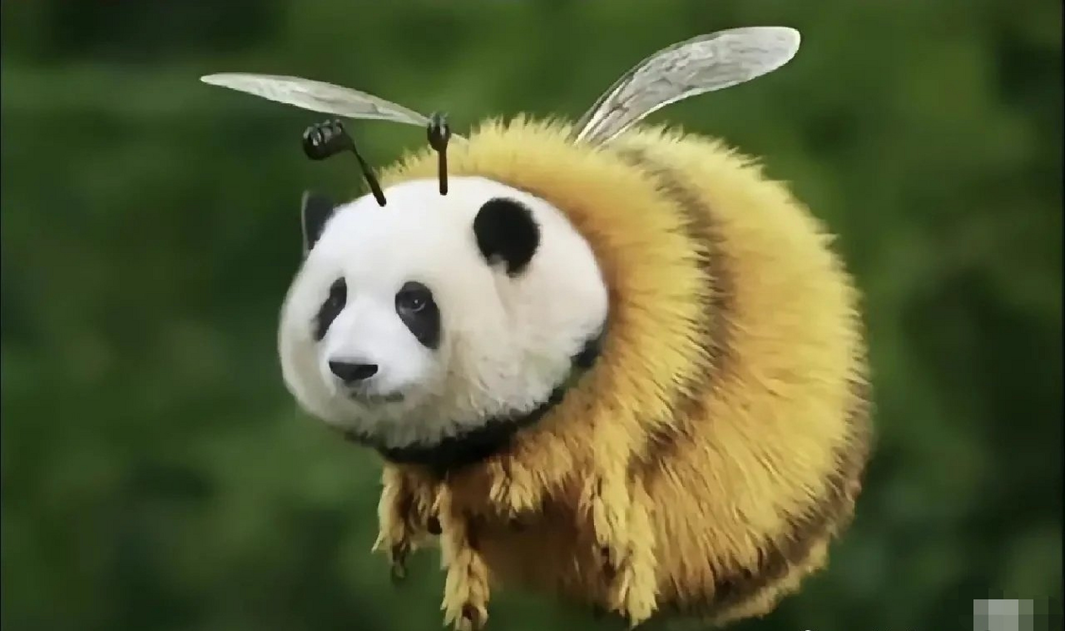 花花是只勤劳的小蜜蜂,每天都要在前台进行长时间的营业.这都是为了宠