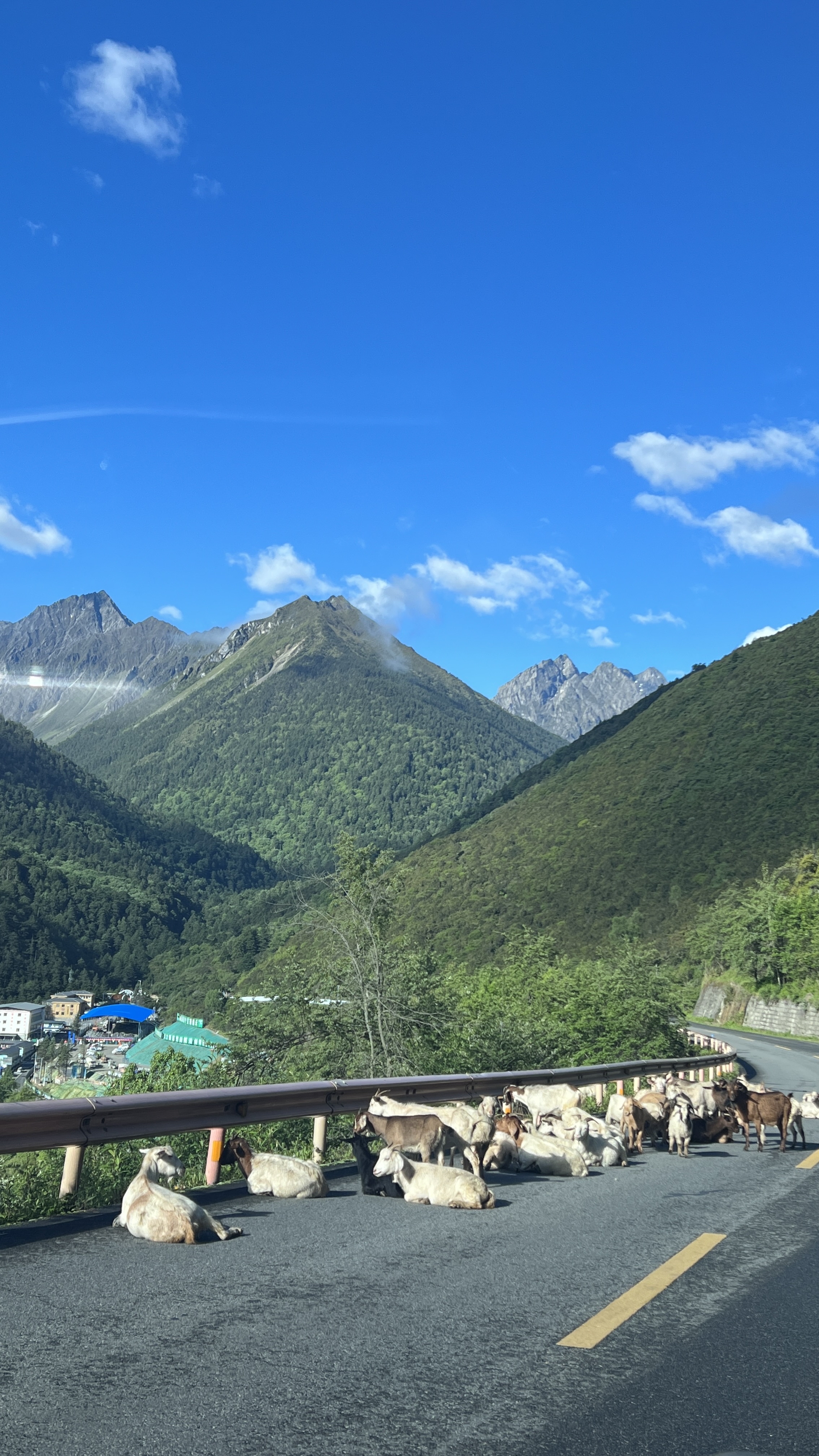 川西巴郎山,云海之上,星光闪烁