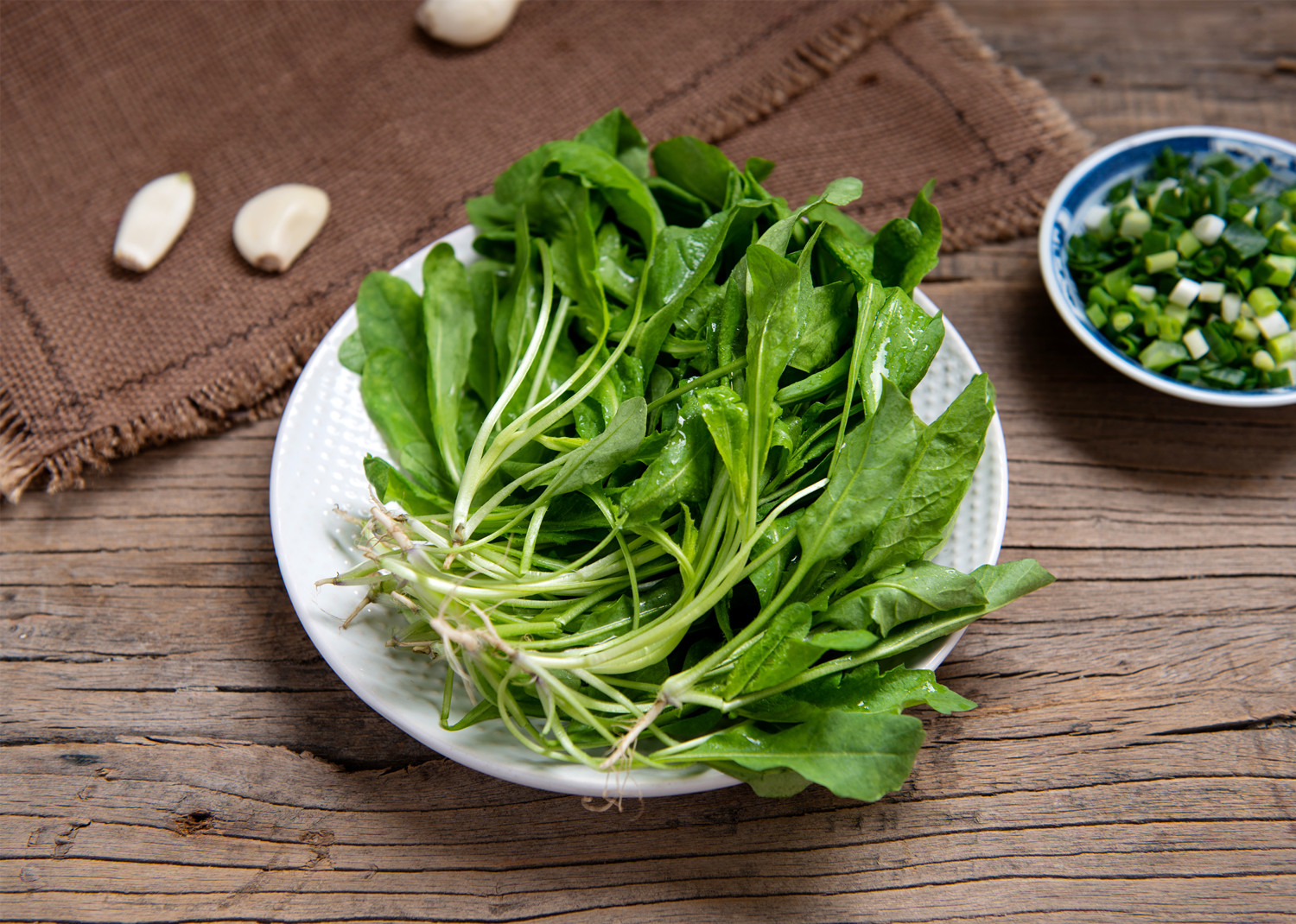 十字花科植物——荠菜