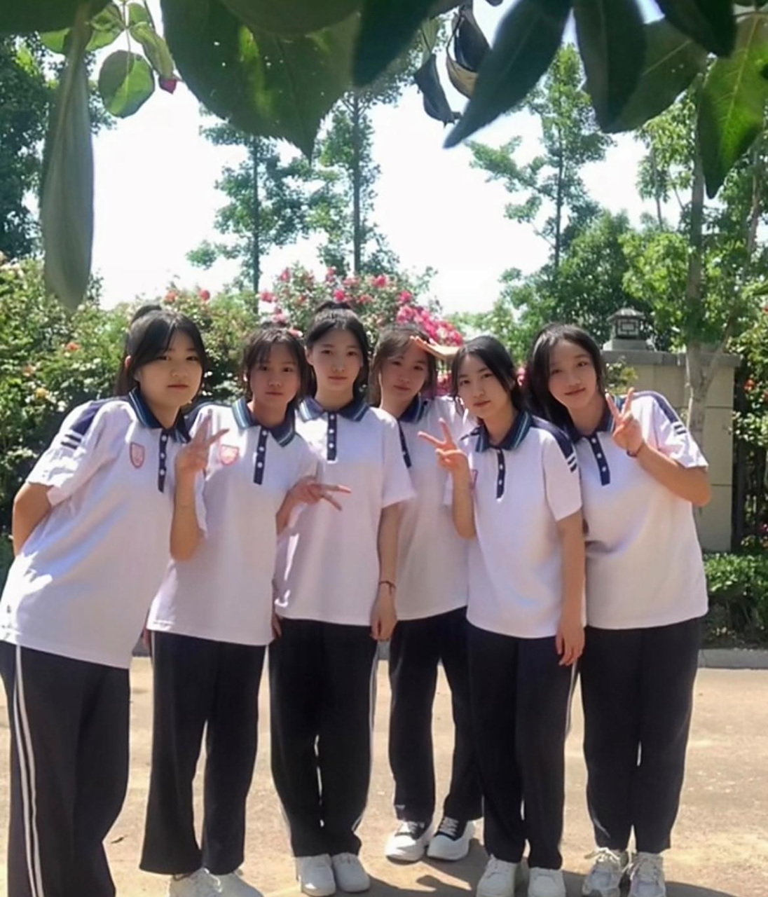 班花合照,哪个最好看?