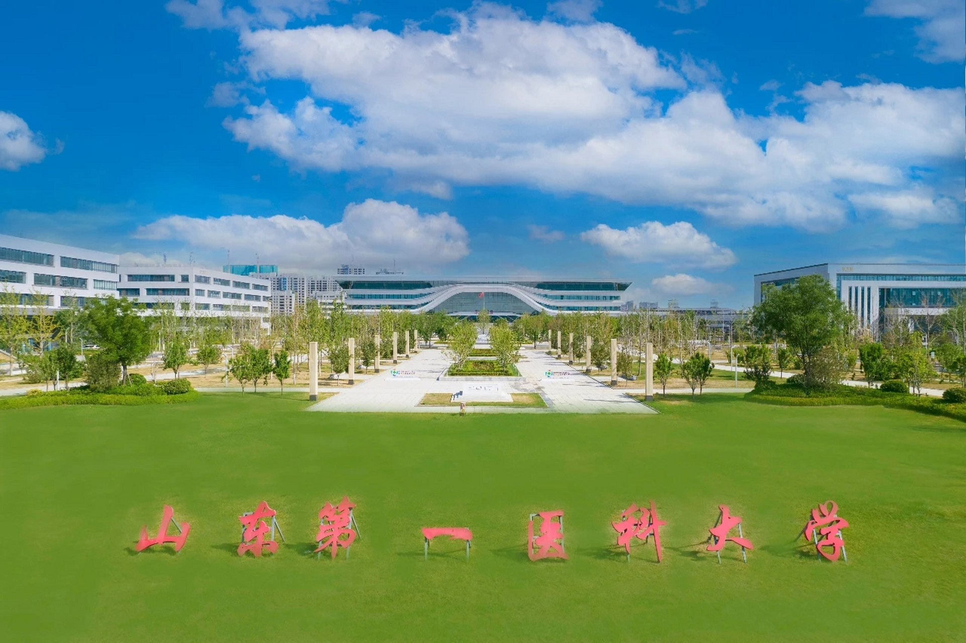 山东第一医科大学2023年在山东省本科提前批次(公费医学生)录取分数