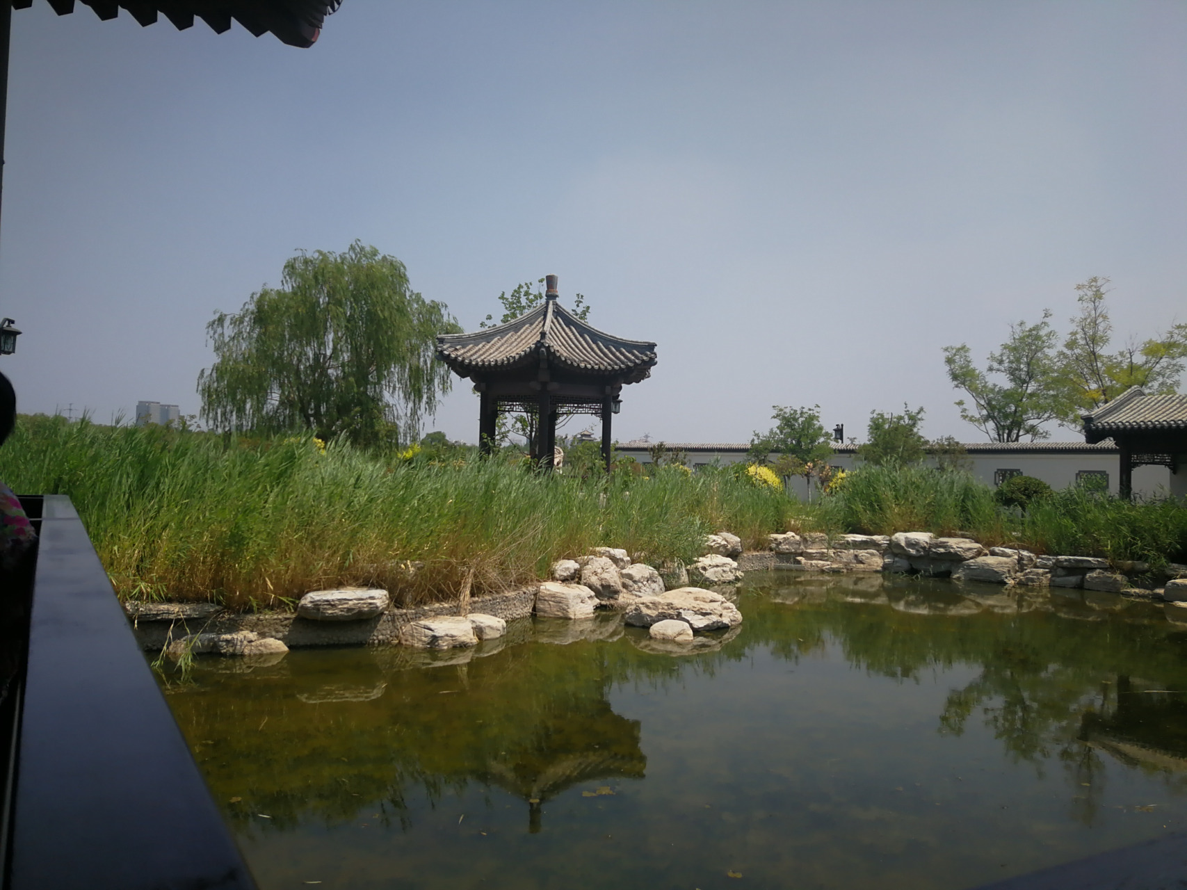 水西公园 水西公园位于天津西青区,是天津市区内规模最大的城市公园