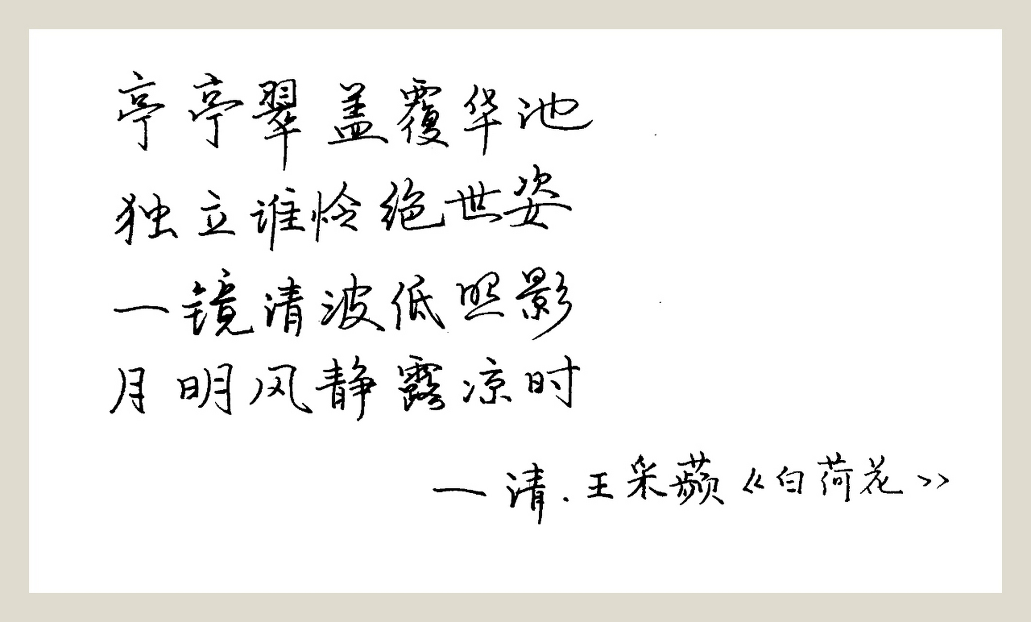 钢笔字,诗一首《白荷花》
