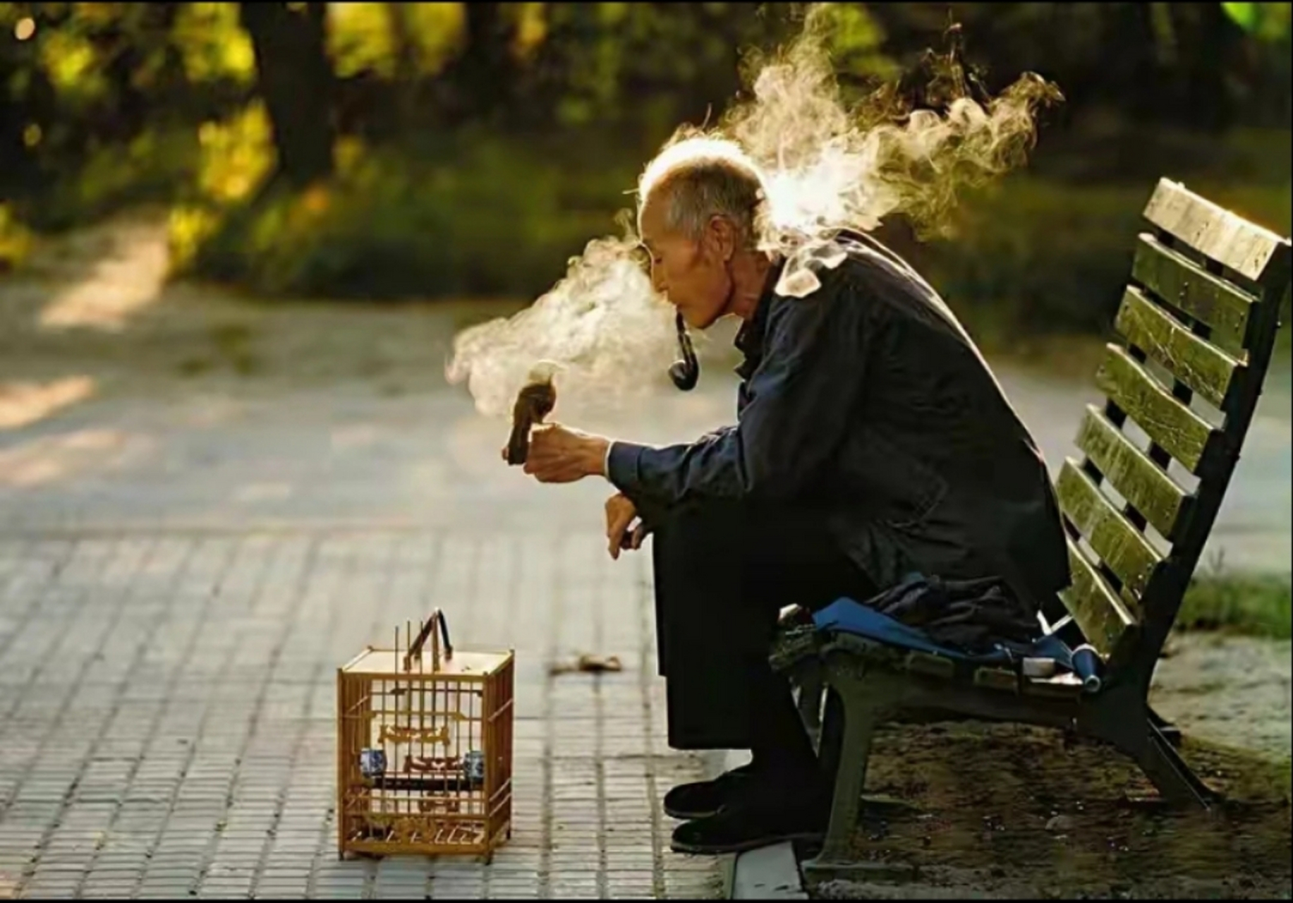 1984年,北京日坛公园,一位遛鸟的老人,他叼着烟斗在吸烟,烟气氤氲