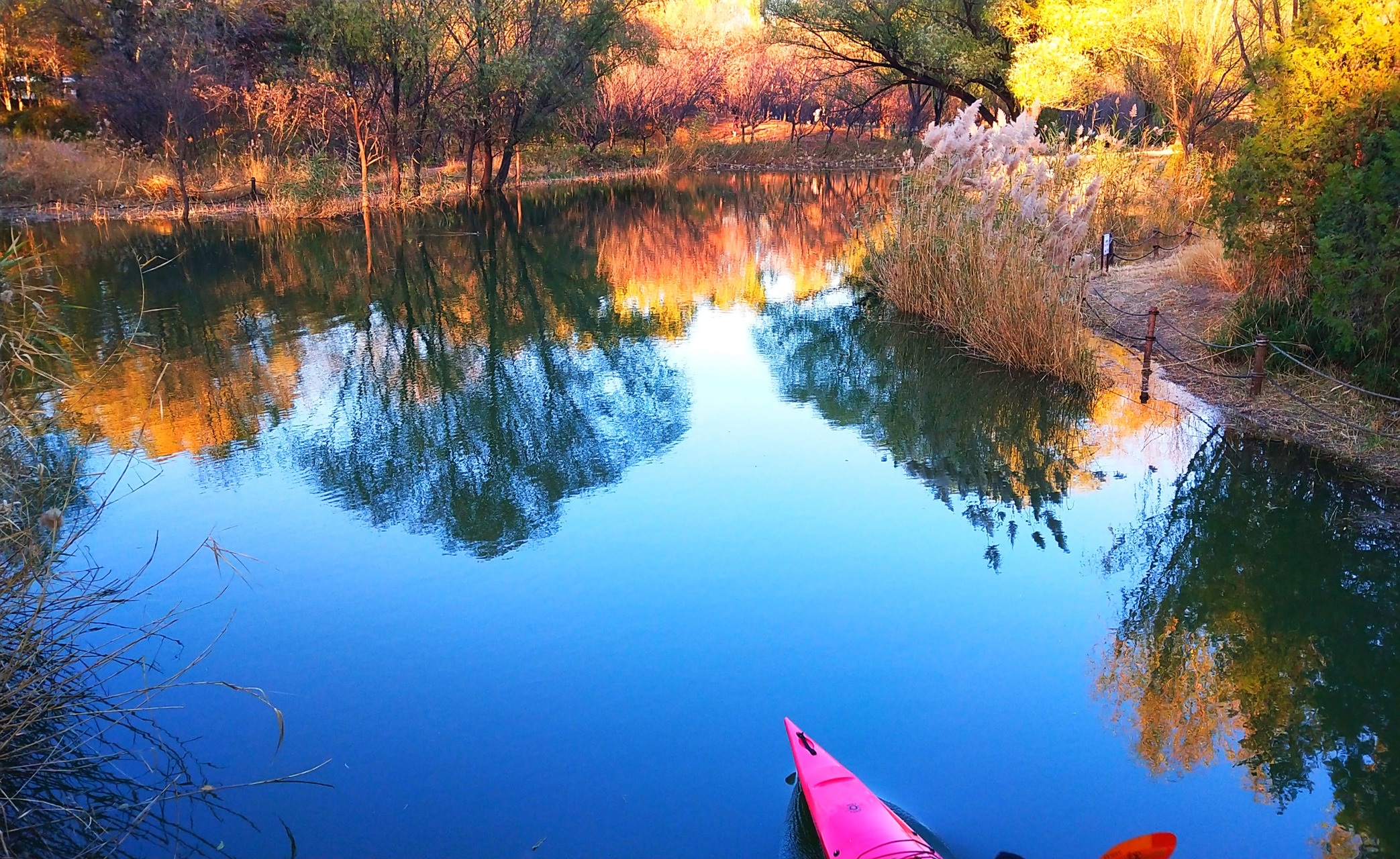 冬日的北京奥体森林公园,水墨画一样的风景#随手拍