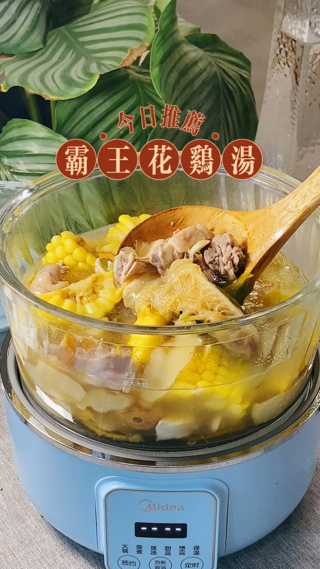 煲靓汤,霸王花鸡汤