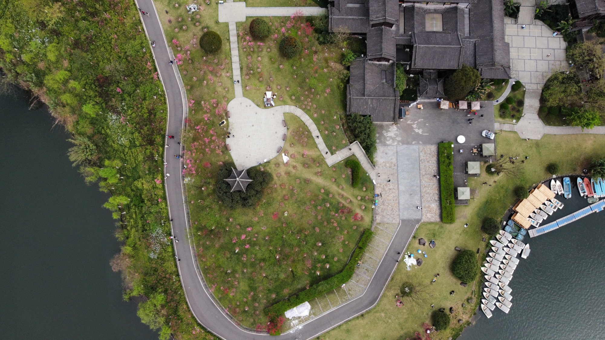 航拍园博园,春暖花开!