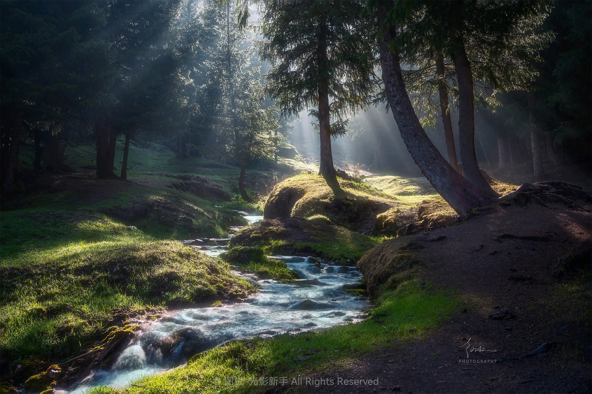 第一张图联想到了瓦尔登湖[大哈]