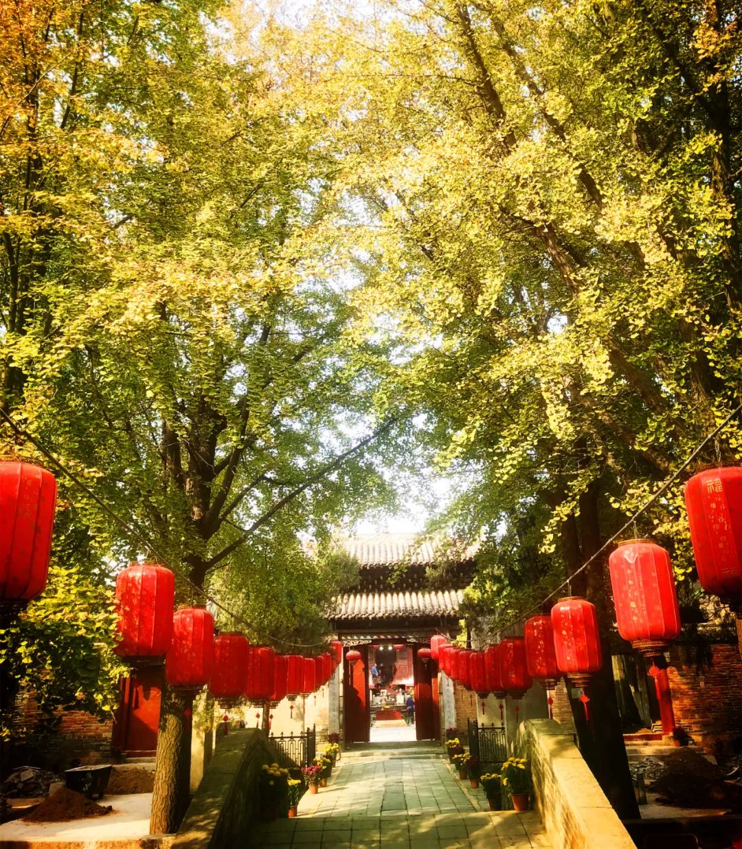 河南浚县大伾山的秋天似乎比其他地方来的晚了一些