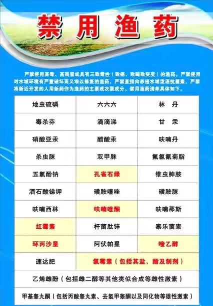 这十三种渔具和部分渔药早己被禁用,为何禁而不止?渔人贪婪造成