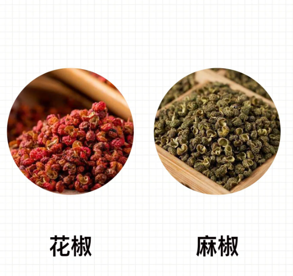 花椒和麻椒是常见的调味品.但是你知道花椒和麻椒有什么区别吗?