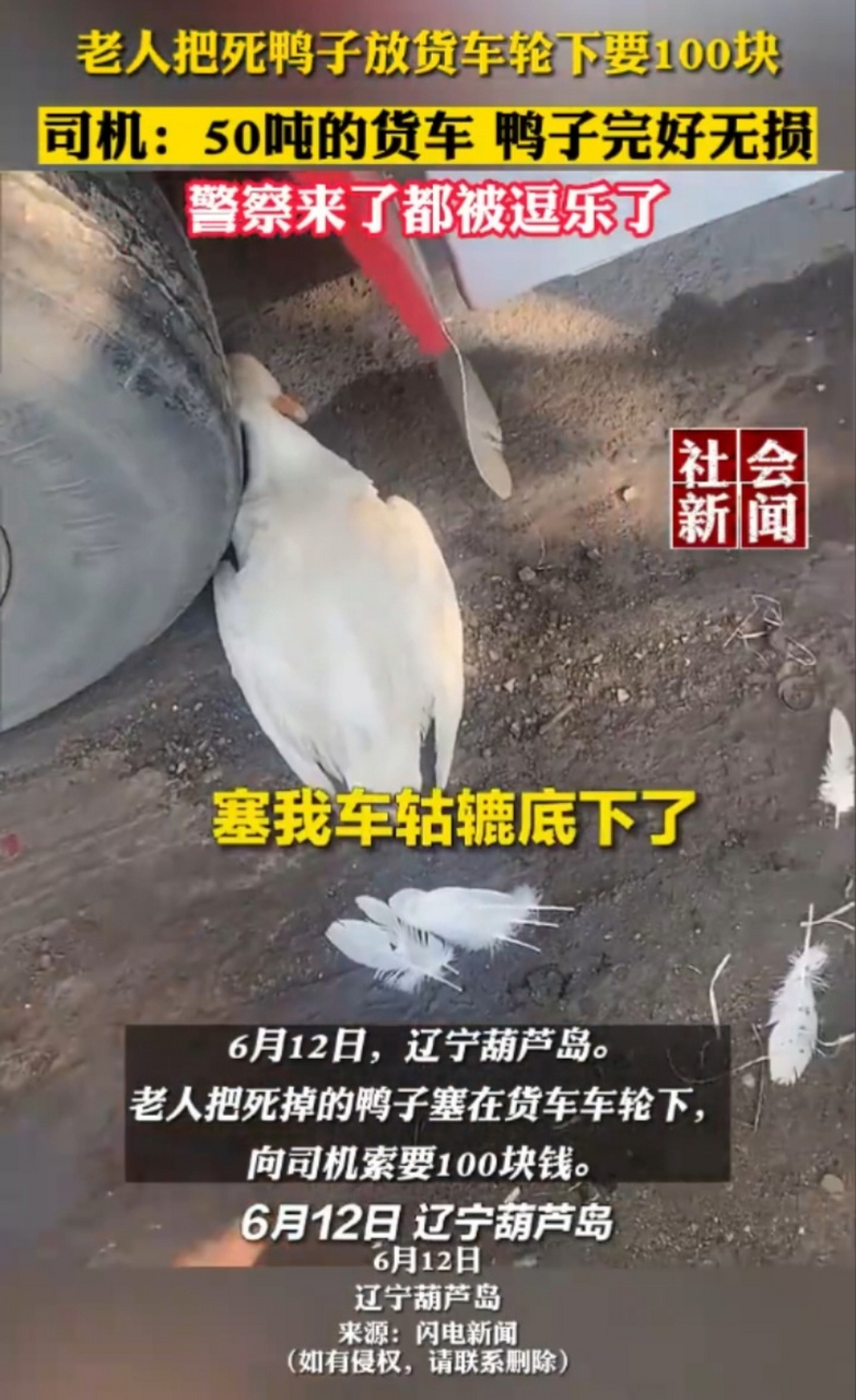 老人把死鸭子放货车轮下要100块.