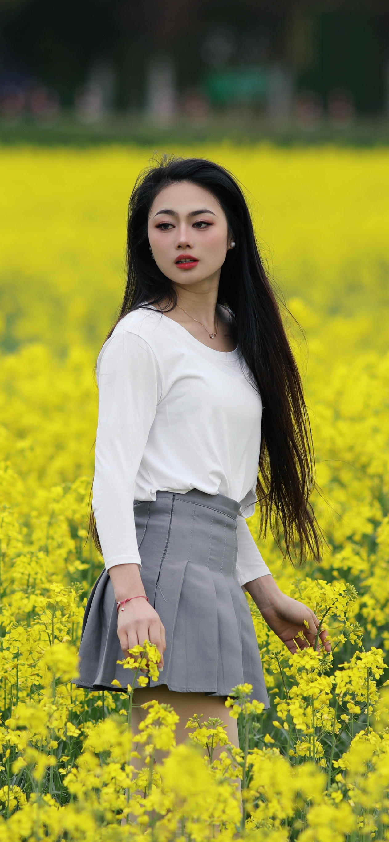 ƽӢӰ֮