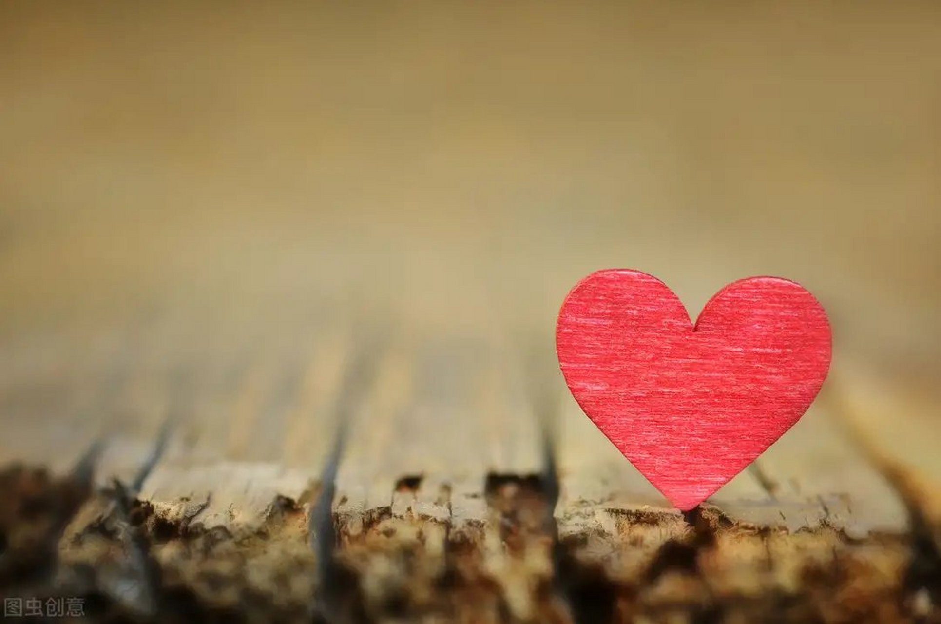 欧亨利短篇小说《爱的牺牲》,讲述一对贫穷夫妻,他们热爱艺术,为成全