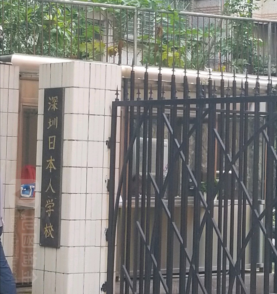 深圳"日本人"学校走红,保安24小时监控,只招收日本学生