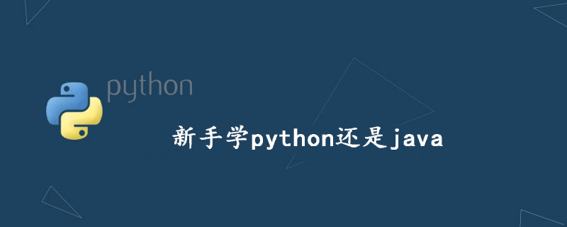 初学者学习python或java