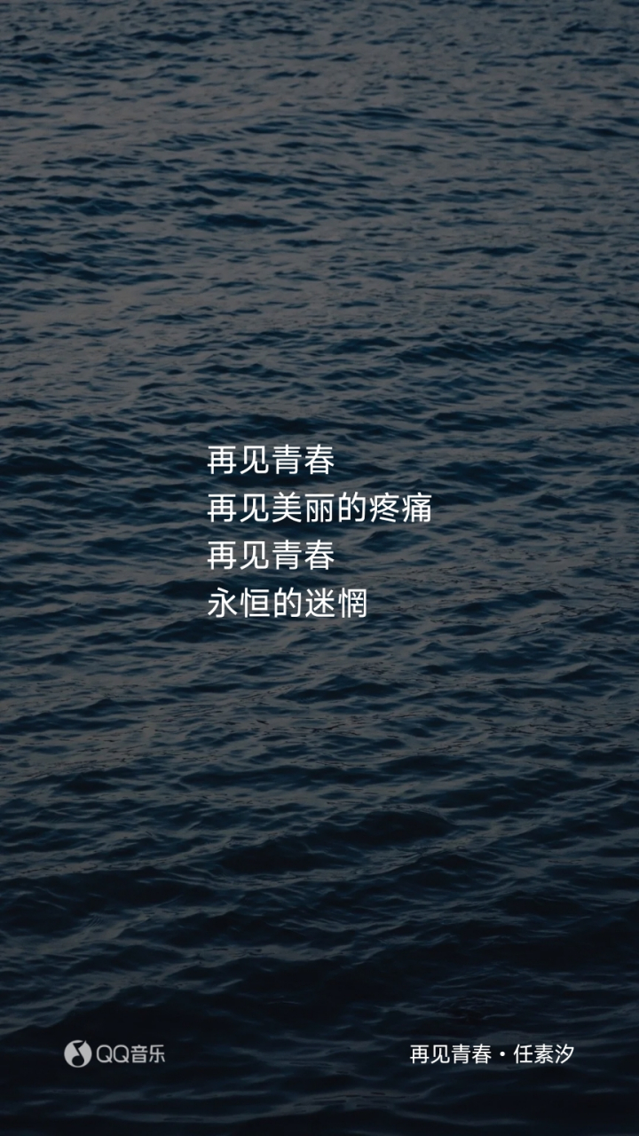 耳边轻轻响起《再见青春》:再见青春,再见美丽的疼痛;再见青春,永恒的