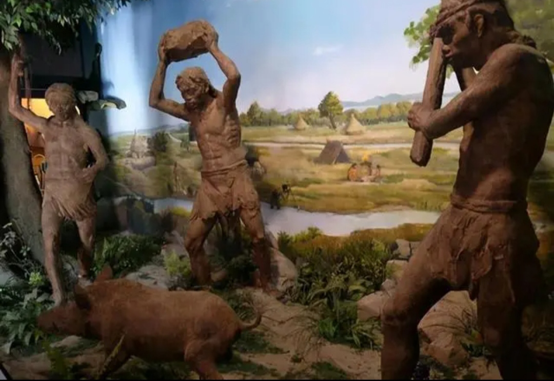 7000年前的河姆渡人,为什么拥有现代人的科技手段?