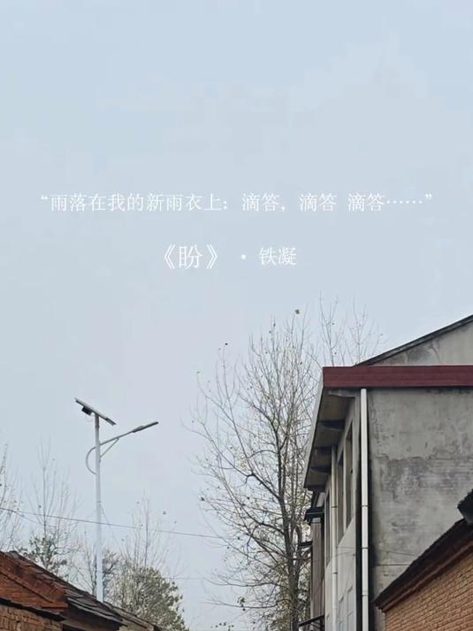 《盼》念念不忘必有回响