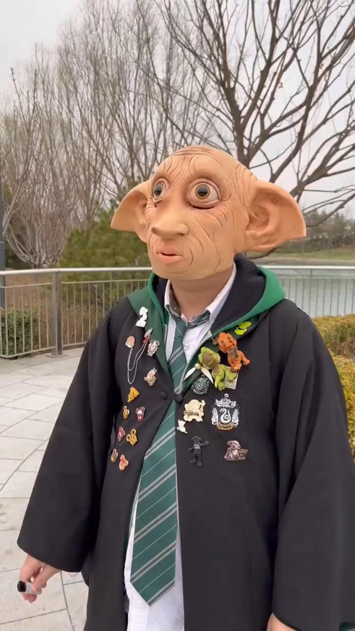 环球影城  多比  哈利波特魔法世界