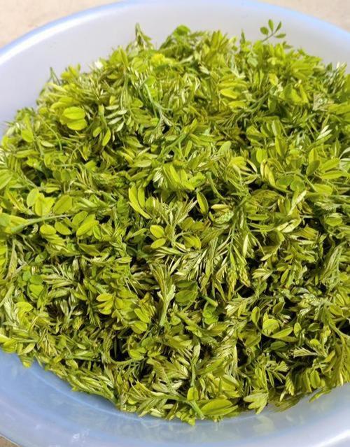 几种常见树芽菜的营养价值及食用特点