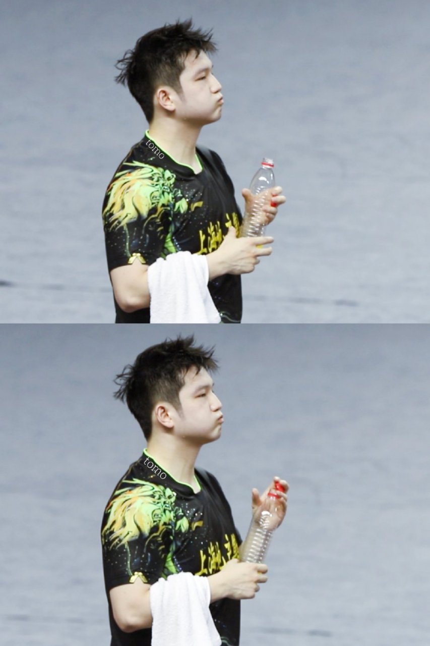 熊猫(东东)喝水 夏天记得多喝水呀#樊振东