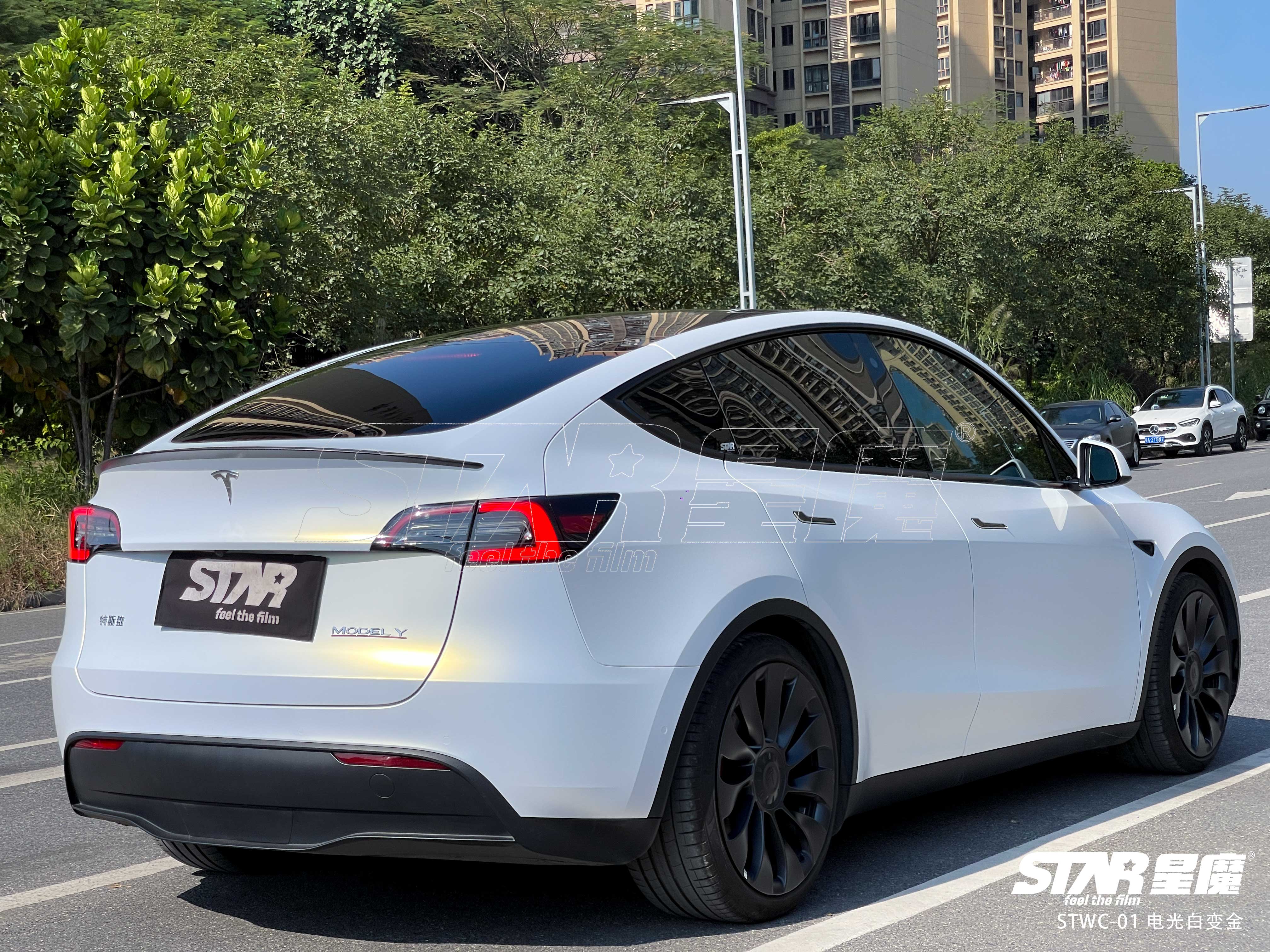 model y 电光白变金