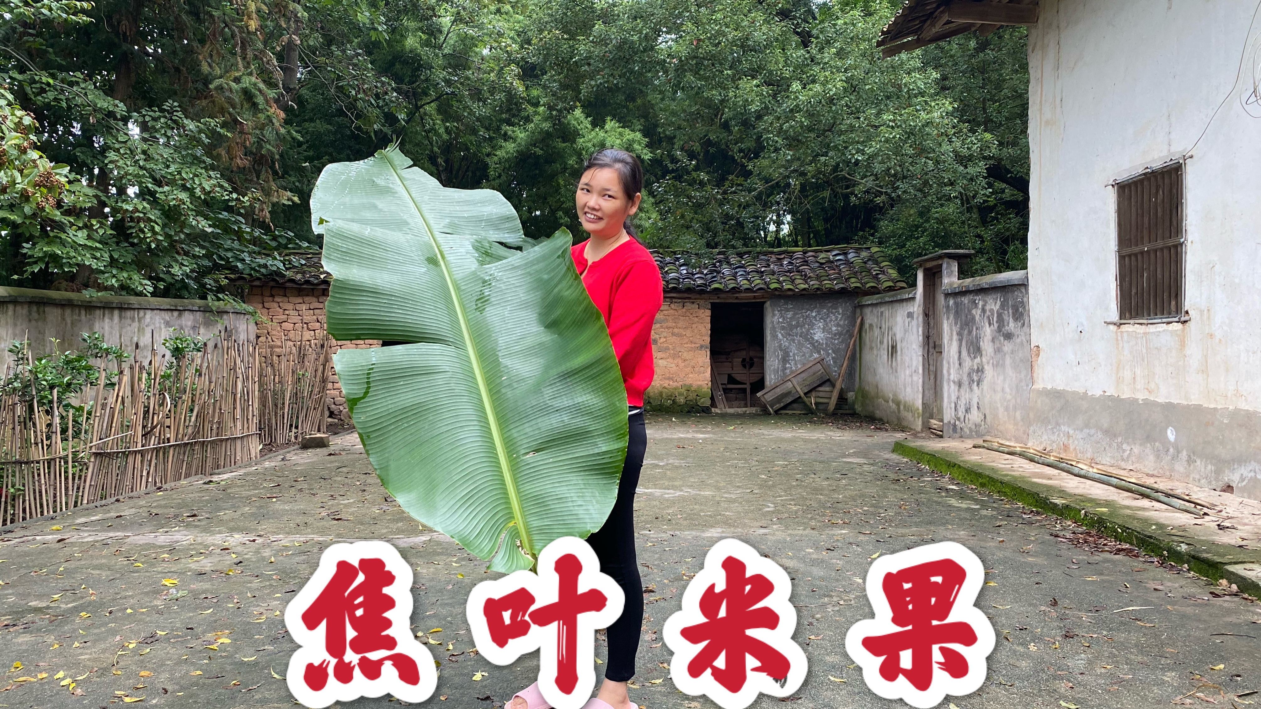 赣南客家美食蕉叶米果,用料做法简单,软糯香甜,大人小孩都爱吃