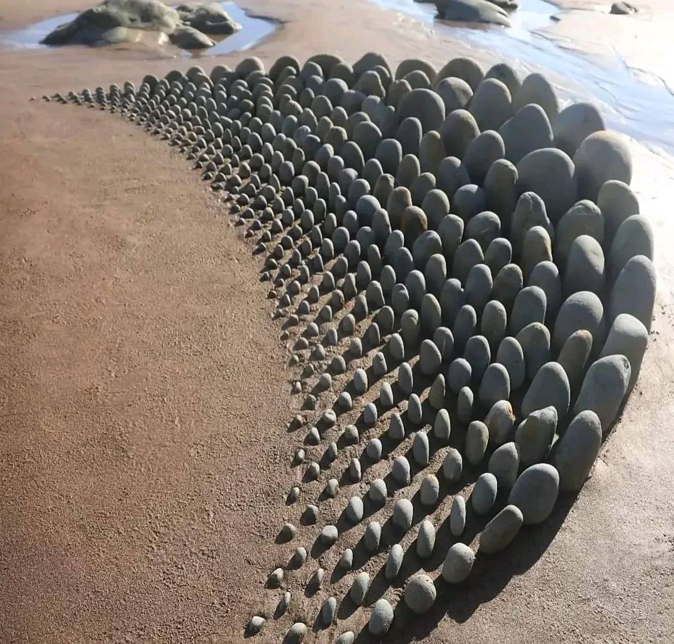 不起眼的石头居然可以摆出这么漂亮的造型