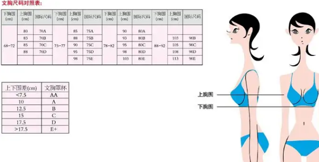 胸圍90是什麼尺寸