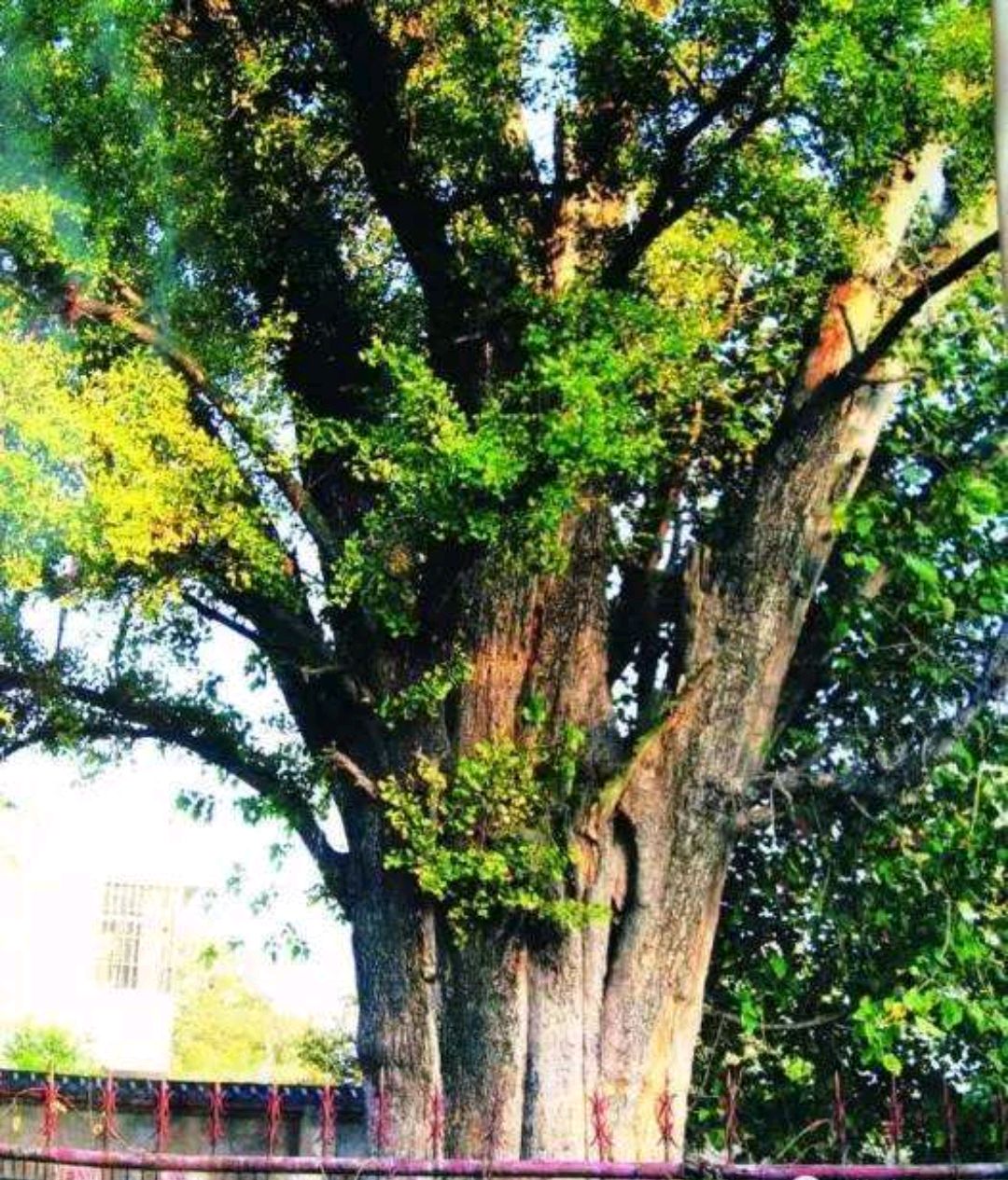 姜尚和养由基的故乡,历史追溯到新石器时期,临泉县发展潜力如何