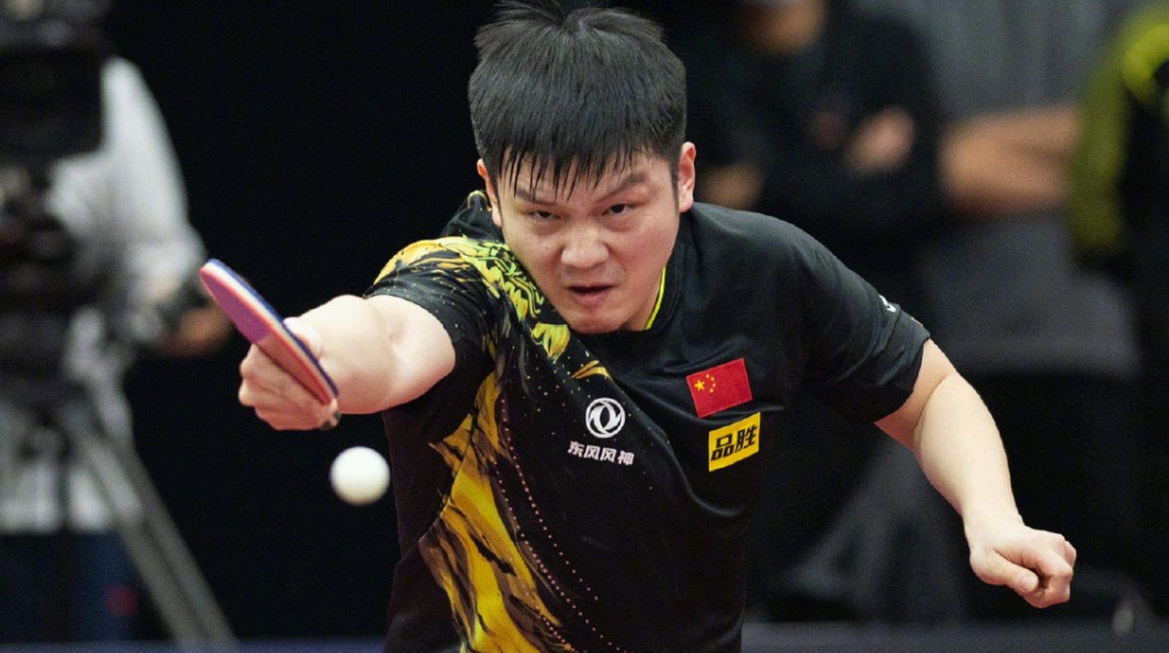 樊振东被骚扰,已报警处理!