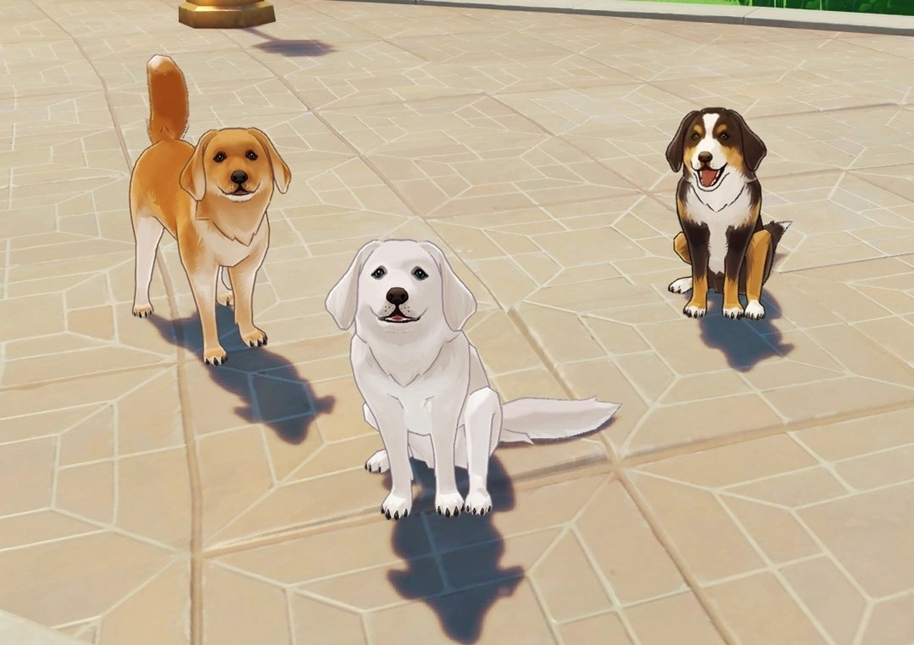 枫丹狗狗98,看起来有点贵气啊[吃鲸][吃鲸][吃鲸]#原神# #二次元