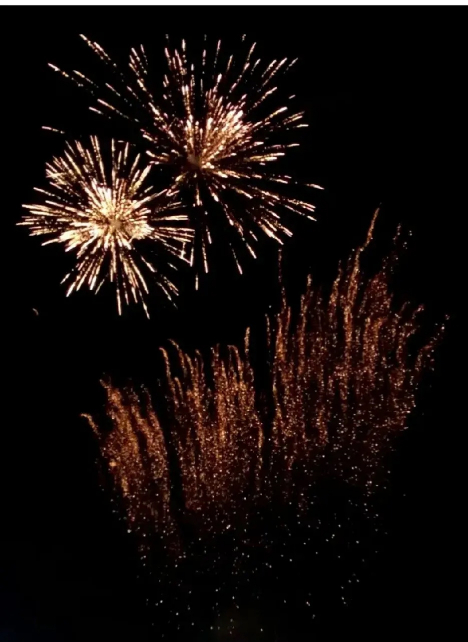 聚是一团火,散是满天星       儿子他们班当年一共51个孩子,高考录取