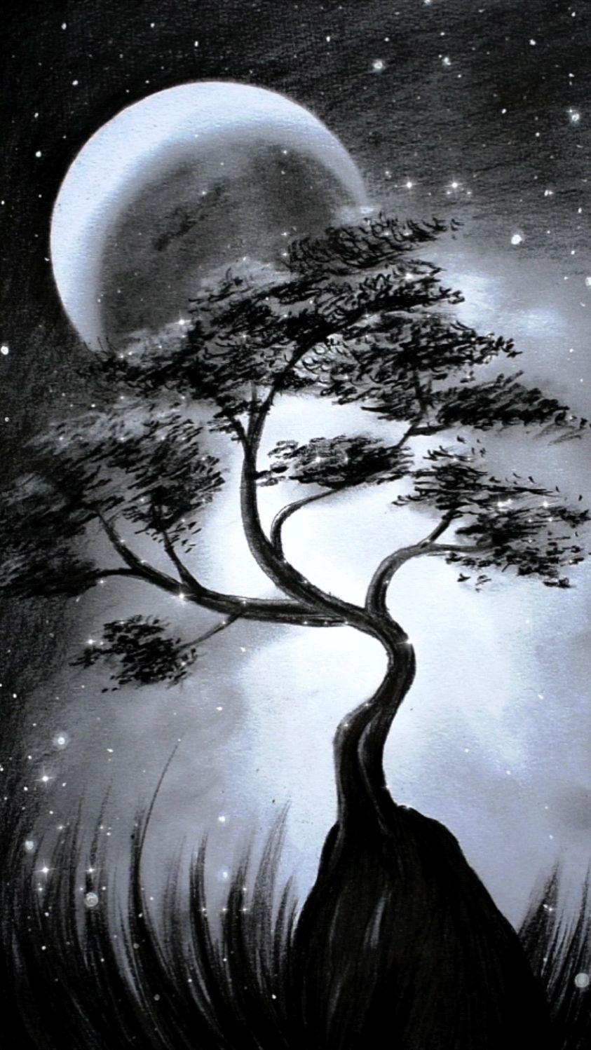 治愈心灵的素描,月光下树影摇曳;夜空中繁星璀璨