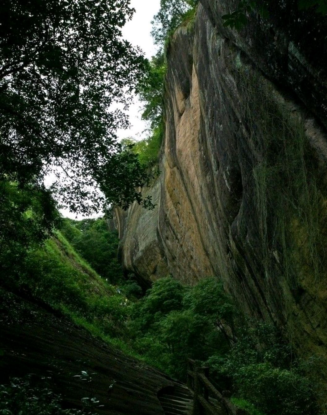 三教名山,避暑胜地武夷山