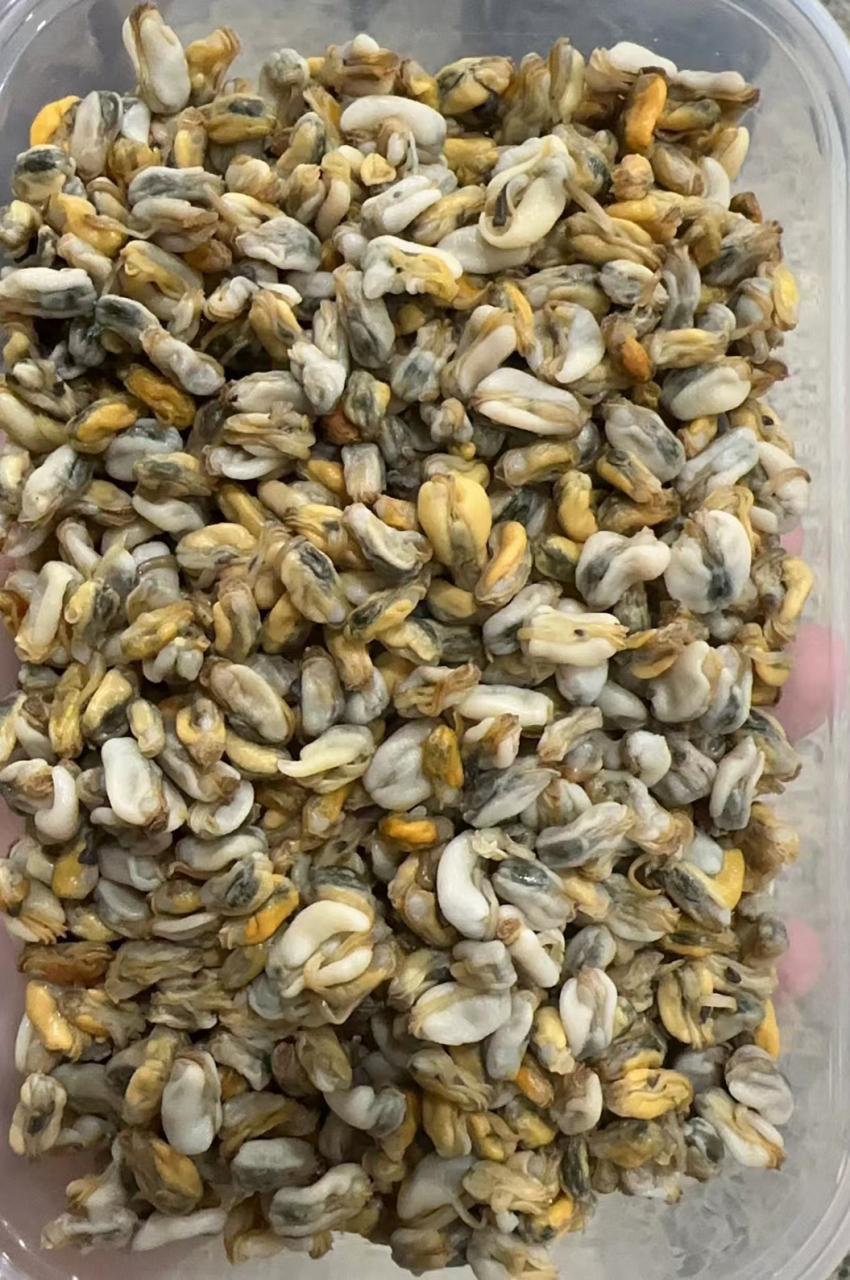 当季海瓜子肉,带壳,纯肉都有,老客户一直回购#海鲜