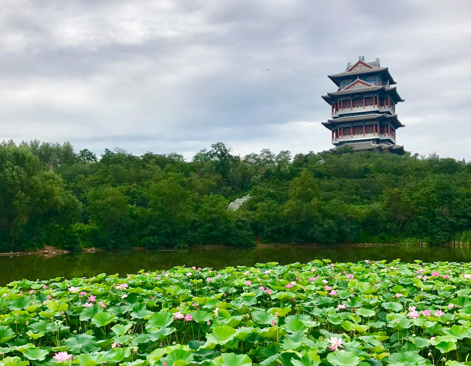 湖北武汉有黄鹤楼,辽宁沈阳有白鹤楼?两座楼还结成了"姐妹"