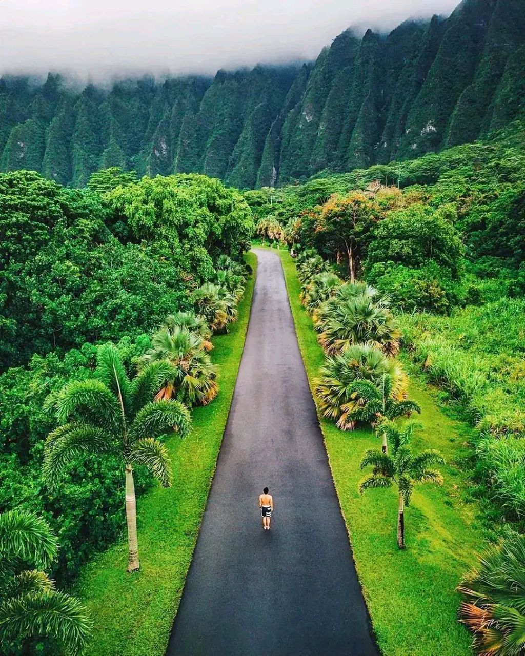 高山险峰图片