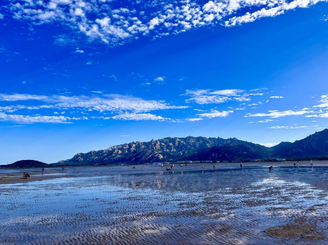 崂山会场赶海园图片