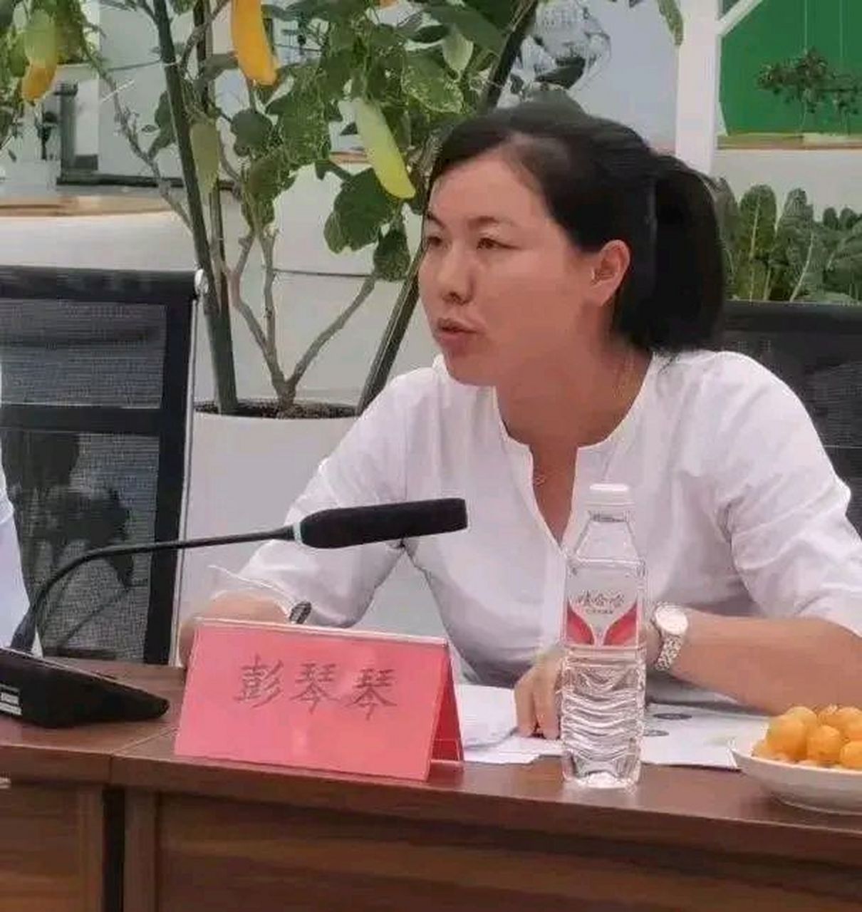 彭琴琴系贵州织金县马场镇党委副书记,镇长,主持政府全盘工作,负责