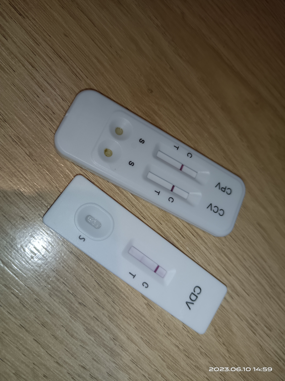 我的小狗犬瘟了,就在今天下午带它到宠物医院测出来的!