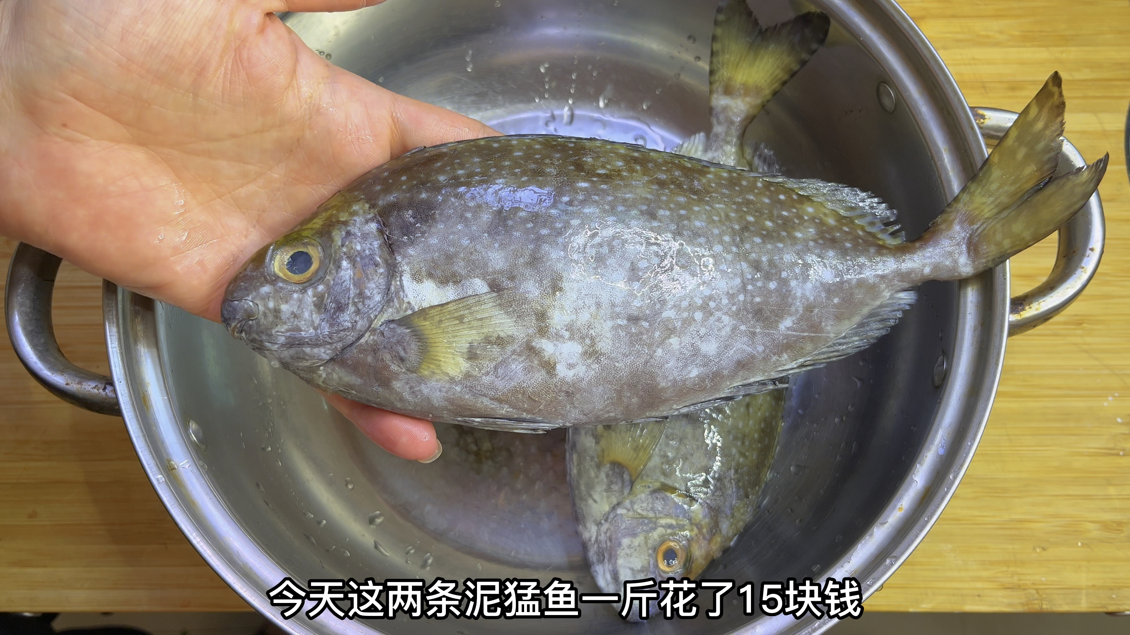 养殖比野生还贵的鱼：泥猛鱼，大厨分享泥猛鱼砂锅粥