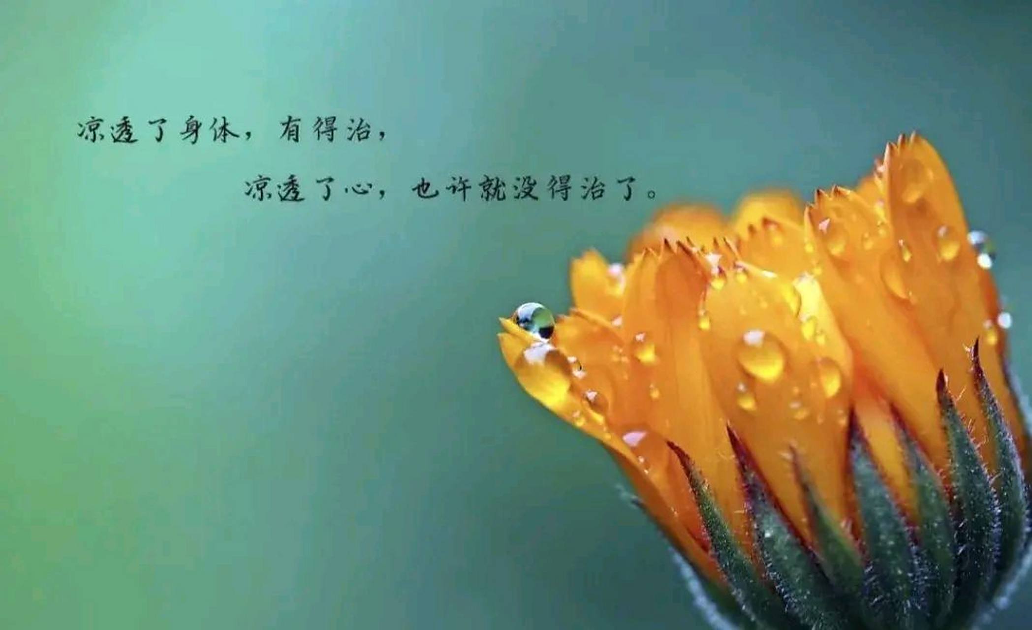 好想哭,太多的委屈无从说起,心特别痛,头都要爆的感觉,真的真的好难过