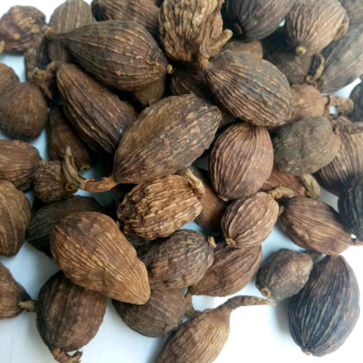 草果是一种怎样的植物