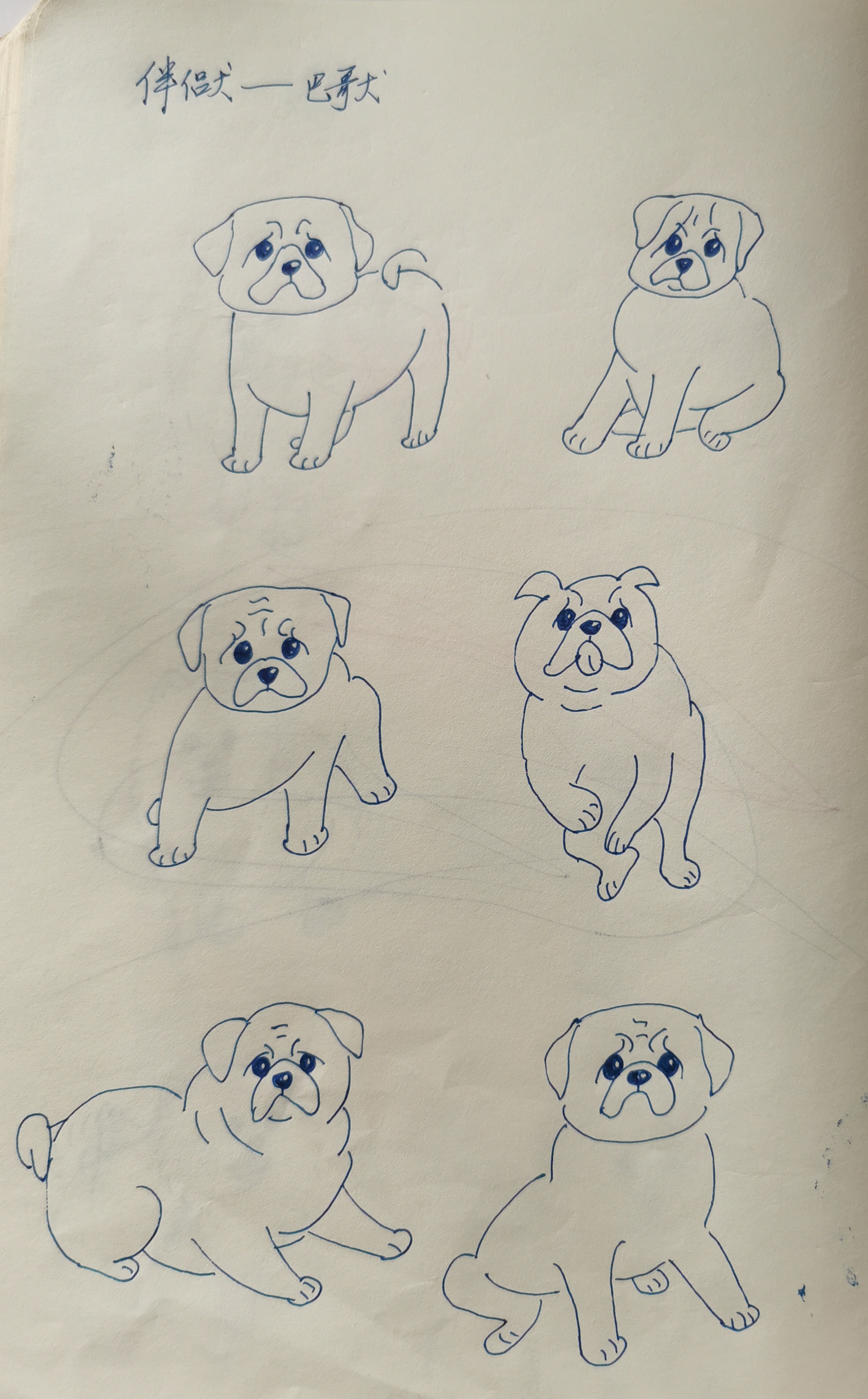 因其面部表情像一种叫"巴哥"的小猴子,由此得名