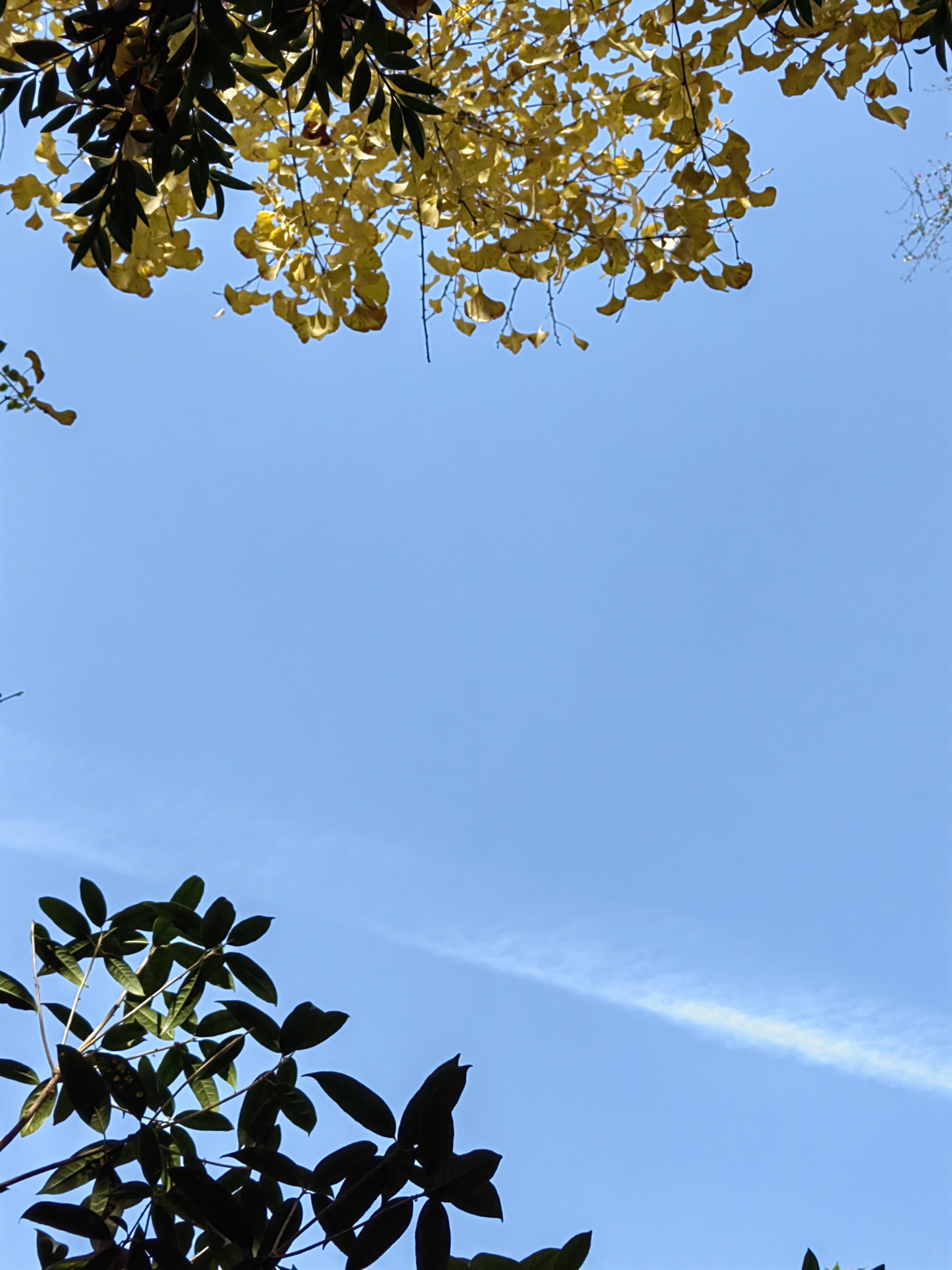 年末回首今年也干了几件大事总结一下